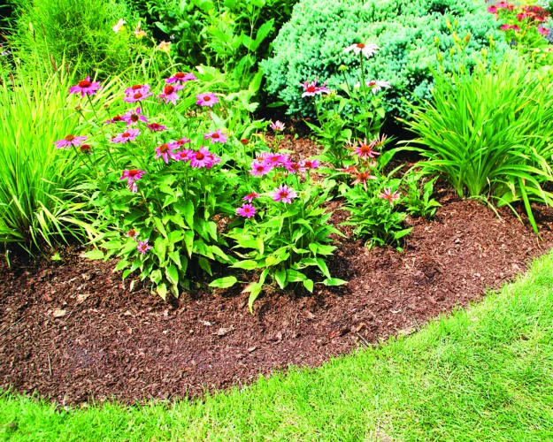 Prepare the landscape for the change of seasons